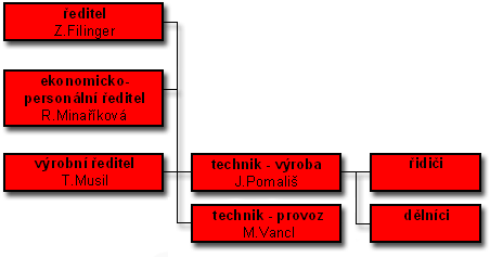 Organizační struktura